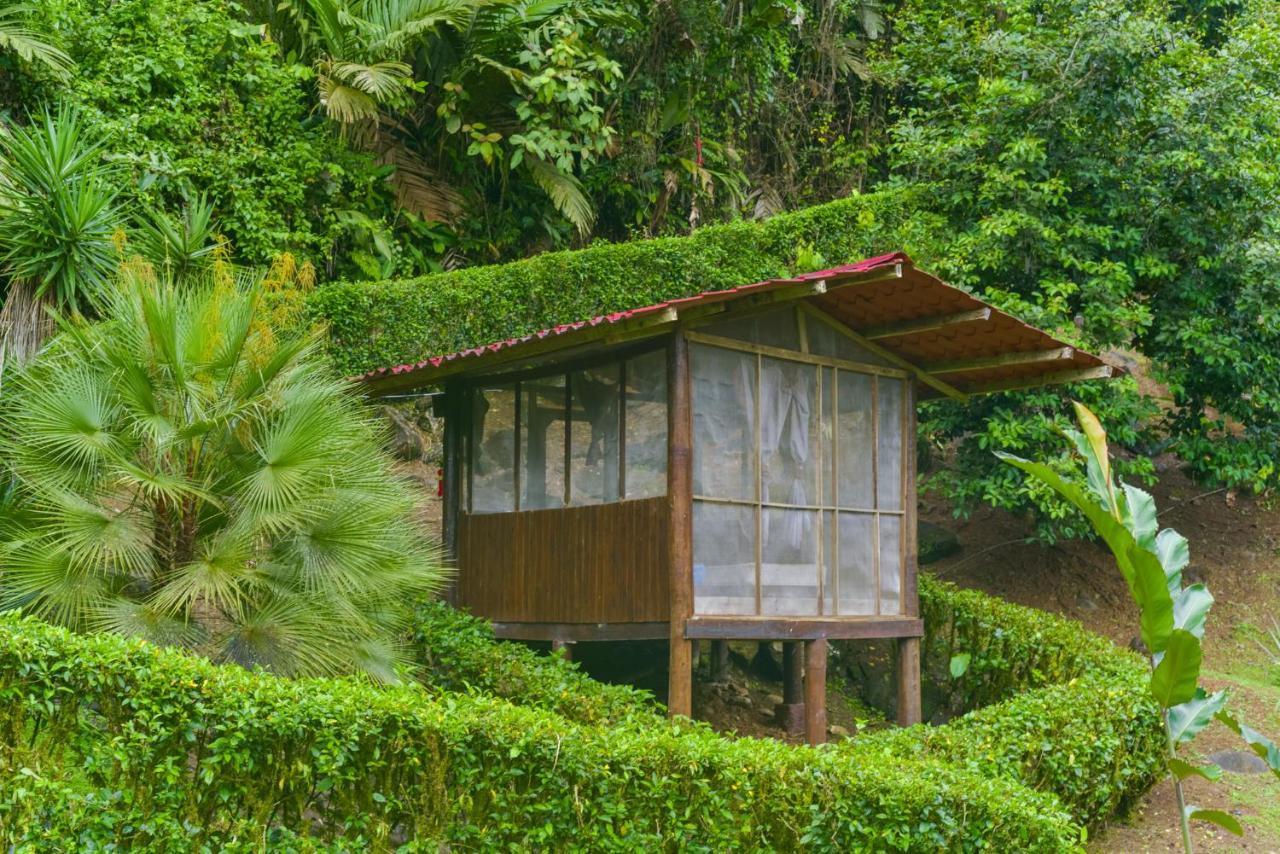 Pacuare River Lodge Bajo Tigre Экстерьер фото