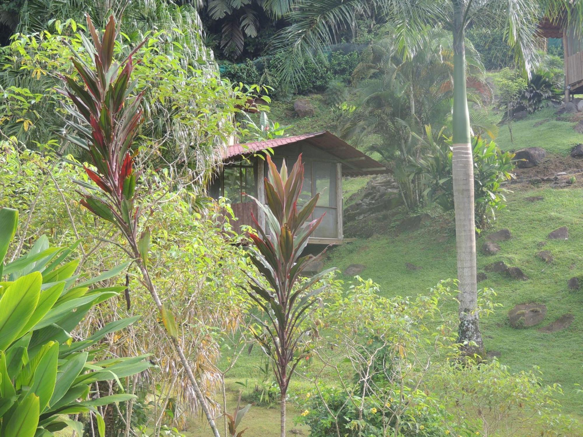 Pacuare River Lodge Bajo Tigre Экстерьер фото
