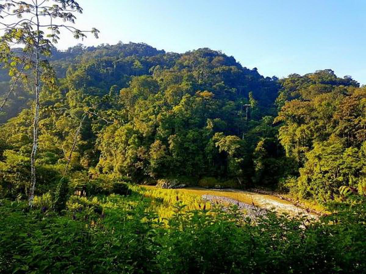 Pacuare River Lodge Bajo Tigre Экстерьер фото