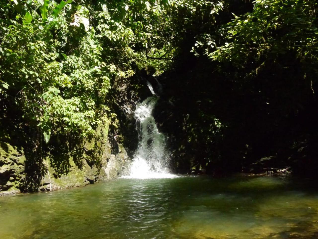 Pacuare River Lodge Bajo Tigre Экстерьер фото