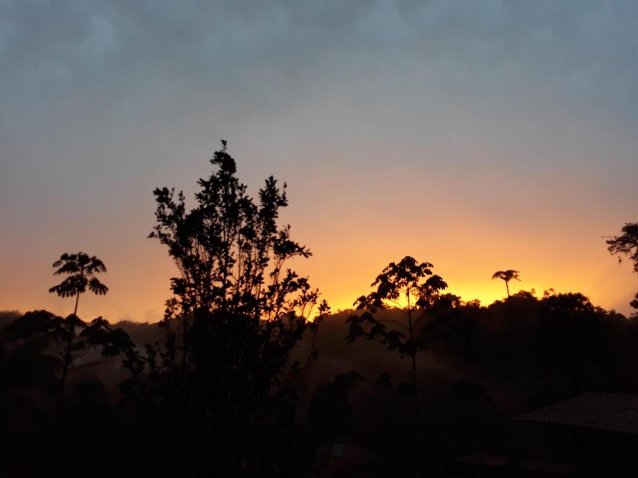 Pacuare River Lodge Bajo Tigre Экстерьер фото